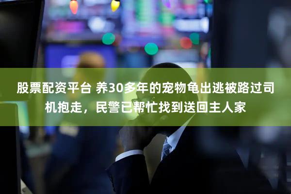 股票配资平台 养30多年的宠物龟出逃被路过司机抱走，民警已帮忙找到送回主人家
